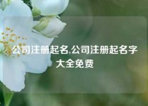 公司注册起名,公司注册起名字大全免费