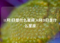 11月3日是什么星座,11月28日是什么星座