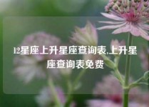 12星座上升星座查询表,上升星座查询表免费