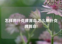 怎样用扑克牌算命,怎么用扑克牌算命?