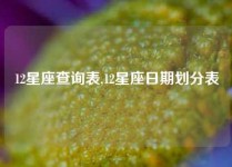 12星座查询表,12星座日期划分表