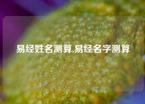 易经姓名测算,易经名字测算