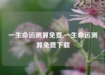 一生命运测算免费,一生命运测算免费下载