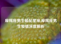 摩羯座男生最配星座,摩羯座男生爱情深度解析