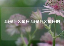 521是什么星座,521是什么星座的