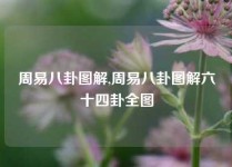 周易八卦图解,周易八卦图解六十四卦全图