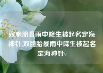 双胞胎暴雨中降生被起名定海神针,双胞胎暴雨中降生被起名定海神针v