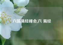 六国易经峰会,六 易经