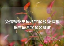 免费根据生辰八字起名,免费根据生辰八字起名测试