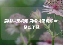 易经讲座视频,易经讲座视频MP4格式下载