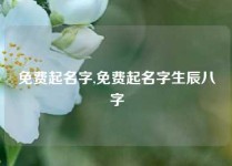 免费起名字,免费起名字生辰八字