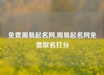 免费周易起名网,周易起名网免费取名打分