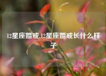 12星座婚戒,12星座婚戒长什么样子