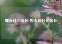 郑爽什么星座,郑爽是什么星座