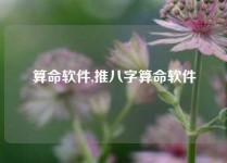 算命软件,推八字算命软件