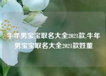 牛年男宝宝取名大全2021款,牛年男宝宝取名大全2021款姓董