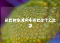 运程算命,算命中运程是什么意思