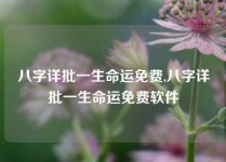 八字详批一生命运免费,八字详批一生命运免费软件