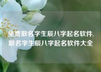 免费取名字生辰八字起名软件,取名字生辰八字起名软件大全