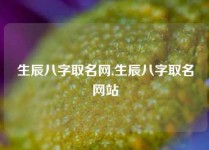 生辰八字取名网,生辰八字取名网站