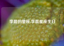 李晨的星座,李晨星座生日