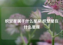 织女星属于什么星座,织女星在什么星座