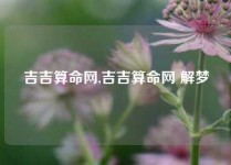 吉吉算命网,吉吉算命网 解梦