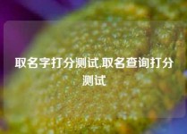 取名字打分测试,取名查询打分测试