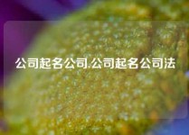 公司起名公司,公司起名公司法