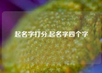 起名字打分,起名字四个字