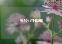 易经64卦图解