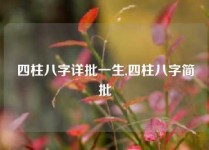 四柱八字详批一生,四柱八字简批