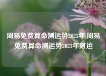 周易免费算命测运势2023年,周易免费算命测运势2023年财运