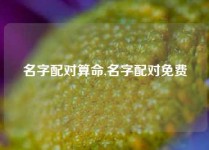 名字配对算命,名字配对免费