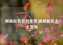 周易起名官网免费,周易起名大全查询