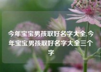 今年宝宝男孩取好名字大全,今年宝宝男孩取好名字大全三个字