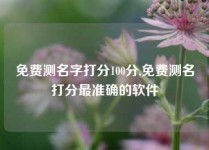 免费测名字打分100分,免费测名打分最准确的软件