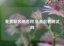 免费取名测名网,免费起名测试网