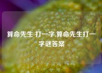 算命先生 打一字,算命先生打一字谜答案