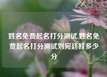 姓名免费起名打分测试,姓名免费起名打分测试刘宛廷打多少分