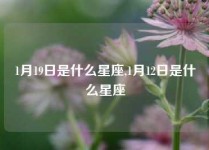 1月19日是什么星座,1月12日是什么星座