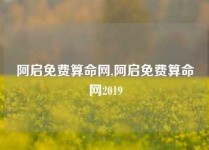 阿启免费算命网,阿启免费算命网2019