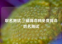 取名测试,三藏算命网免费算命姓名测试