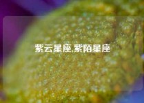 紫云星座,紫陌星座