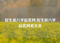 按生辰八字起名网,按生辰八字起名网名大全