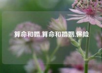 算命和婚,算命和婚姻,保险