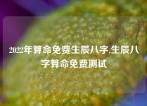 2022年算命免费生辰八字,生辰八字算命免费测试