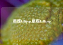 星座lollipop,星座Lollipop