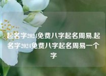 起名字2024免费八字起名周易,起名字2024免费八字起名周易一个字