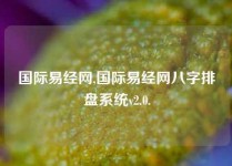 国际易经网,国际易经网八字排盘系统v2.0.